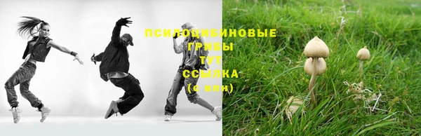 винт Коряжма