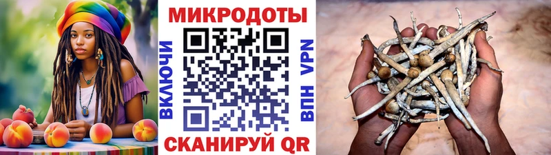 Купить  Димитровград  Галлюциногенные грибы MAGIC MUSHROOMS 